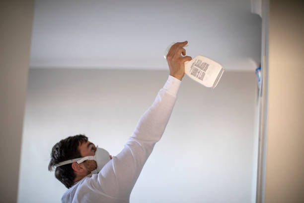 Best Mold Cleaning Services  in Jackson, AL