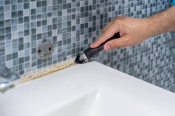 Best Black Mold Removal  in Jackson, AL